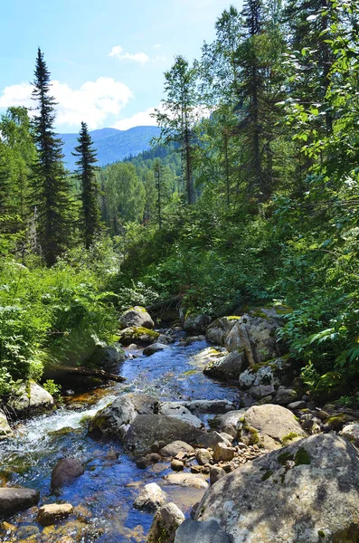 Hermoso Paisaje Soleado Verano Fuente Flujo Rápido Río Montaña Entre — Foto de Stock