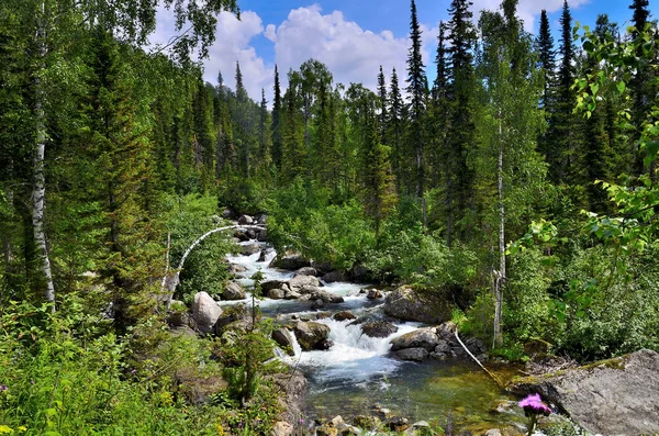 Bellissimo Paesaggio Estivo Soleggiato Sorgente Fluente Veloce Fiume Montagna Con — Foto Stock