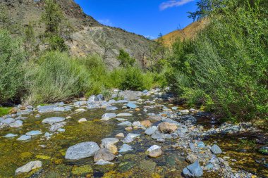 Altay Dağları, Rusya unrealy güzel renkli kil kayalıklardan. Kızıl-çene (Kisil-çene) vadide Marslı ve arasında çalışan creek adlı yaz peyzaj taşlar