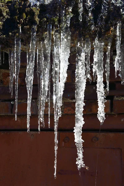 Eiszapfen Die Auf Dem Dach Hängen Tropfen Aus Nächster Nähe — Stockfoto