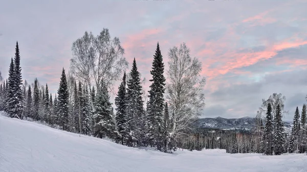 Pintoresco Paisaje Montañoso Invernal Delicada Luz Rosa Atardecer Sobre Laderas —  Fotos de Stock