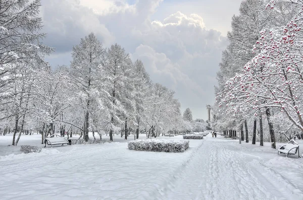 Winter Urban Landscape Alley City Park Snowfall Snow Covered Bench — Stock Photo, Image