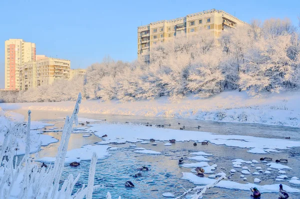 Schöne Winter Stadtlandschaft Gefrorenen Verschneiten Stadt Mit Wilden Enten Fluss — Stockfoto