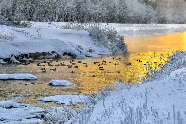 Winter Goldener Sonnenuntergang Und Nebel Über Einem Kleinen Warmen Fluss — Stockfoto