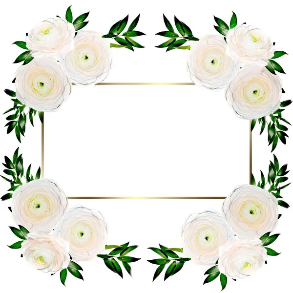 Delicate Bloemen Frame Met Romige Gekleurde Ranunculus Bloemen Geïsoleerd Wit — Stockfoto