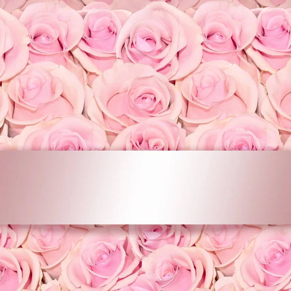 Beautiful Floral Background Amazing Pink Roses Close Shiny Silken Ribbon — Stock Photo, Image