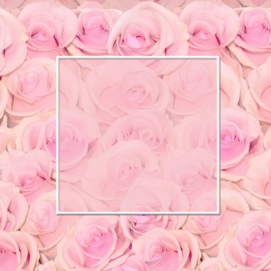 Güzel çiçek arka plan metin olarak tebrik kartı veya evlilik, Doğum günü, yıldönümü veya herhangi bir tatiller ve olaylar için davet için çerçeve ile şaşırtıcı pembe güllü