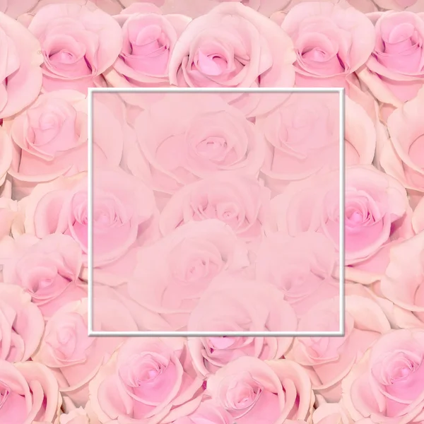 Prachtige Florale Achtergrond Met Verbazingwekkende Roze Rozen Met Frame Voor — Stockfoto