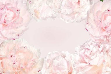 Çerçeve ile kremsi peonies pastel renklerde şık bahar çiçek. Vintage hassas bahar metin için yer ile mevsimlik tatiller ve olaylar için arka plan