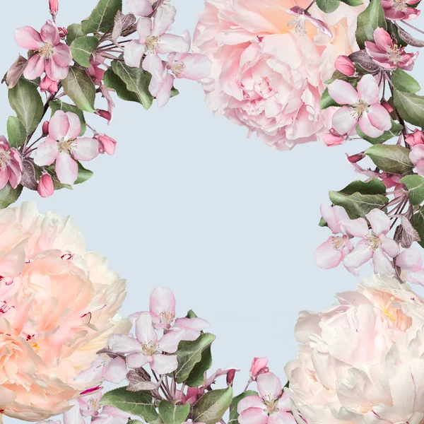 Elegantní Jarní Květinový Rámeček Pastelových Barvách Krémové Pivoňky Růžové Jabloňové — Stock fotografie
