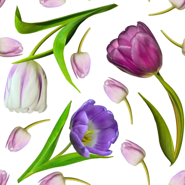 Florales nahtloses Muster mit rosa, lila und weißen Tulpen auf wh — Stockfoto
