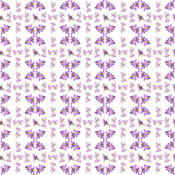 Spring floral seamless pattern with violet striped crokuses on a white background — Stock Photo, Image