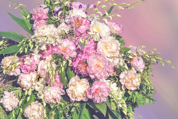 Big pink peonies bouquet in delicate pastel colors in vanilla st — Stock Photo, Image