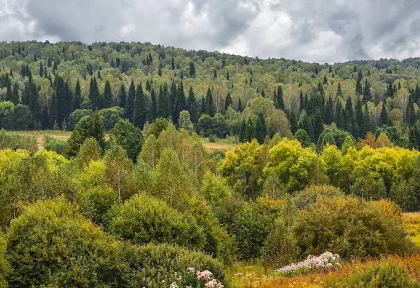 Uitzicht van september bos op heuvels met bewolkt herfst weer — Stockfoto