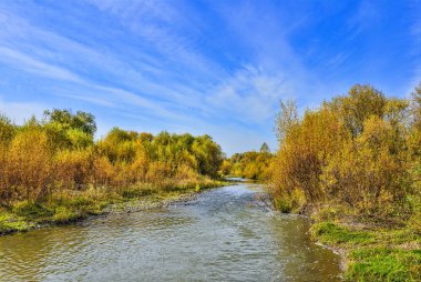 Küçük nehir ile pastoral parlak çok renkli sonbahar manzara