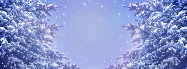 Karácsonyi ünnepi szélesvásznú határ kék fenyőfákkal és hófákkal — Stock Fotó