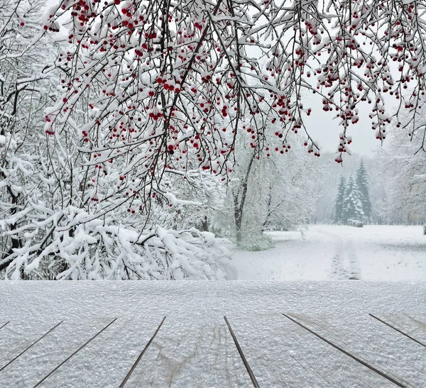 Nevicate nel parco della città- inverno Natale paesaggio panoramico con co — Foto Stock