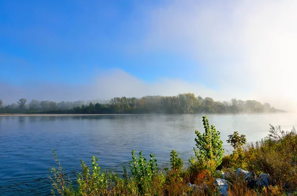 Frühmorgens Nebel Über Dem Fluss Wunderschöne Sommerlandschaft Dichter Nebel Über — Stockfoto