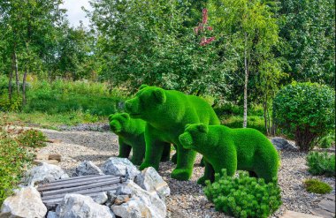 Büyük ve iki küçük ayının yeşil heykelleri. Yapay otlardan yapılmış. Bahçeler. Peyzaj tasarımı için yaratıcı bir fikir. Taş bahçe, cüce dağ çamı önde. Peyzaj konsepti