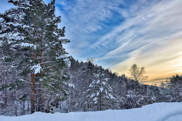 Idyllischer Wintersonnenuntergang Über Schneebedecktem Kiefernwald Winterwunderland Immergrüne Nadelbäume Unter Flauschigem — Stockfoto