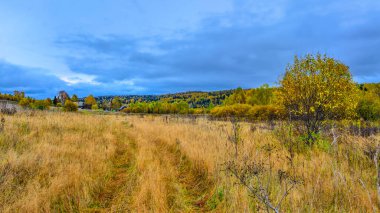 Panoramik sonbahar kırsal arazisi. Rengarenk sık ormanlar ve altın kuru otlarla dolu çayırlar arasında bir köy. Yeşil kozalaklı ağaçlar ve çok renkli yaprak döken ağaçlar. Sonbaharın güzelliği