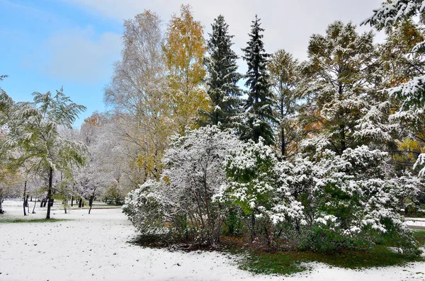 Première Chute Neige Dans Parc Coloré Ville Automne Neige Blanche — Photo