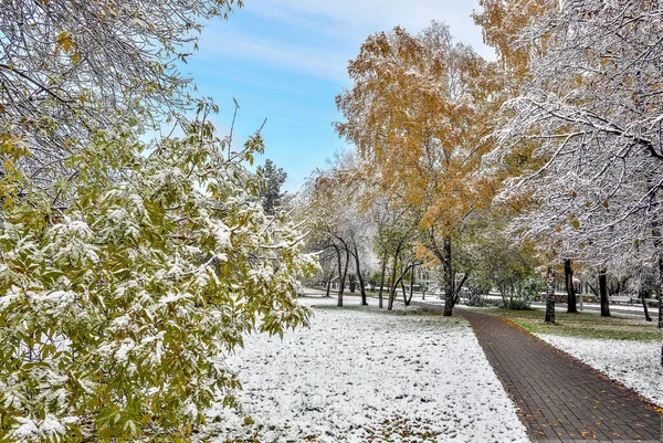 Première Chute Neige Dans Parc Coloré Ville Automne Neige Blanche — Photo