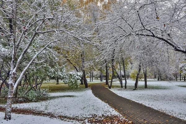 Erster Schneefall Bunten Stadtpark Herbst Gehweg Unter Bäumen Äste Mit — Stockfoto
