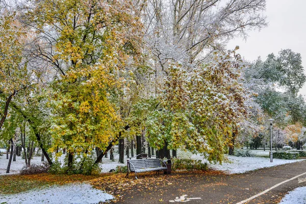 Första Snöfallet Ljusa Färgglada Stadsparken Höst Ensam Bänk Gränd Träd — Stockfoto