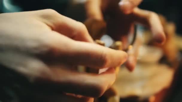 Mistrz Przygotowuje Ceremonię Herbaty Chiński Czajniczek Drewniany Kij — Wideo stockowe