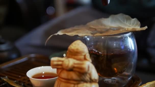 Человек Проливает Чай Через Решетку — стоковое видео