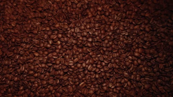 ブラウンローストコーヒー豆 クローズアップ 男の手が小さなコーヒー豆を一つ取っている — ストック動画