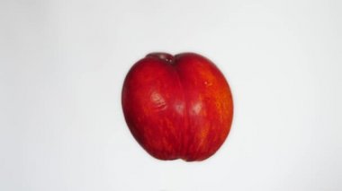 Büyük olgun sulu şeftali, su damlaları aşağı geliyor, ıslak kırmızı meyve.