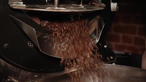 Man Operating Coffee Making Machine Opening Iron Container Brown Roasted — Stock Video