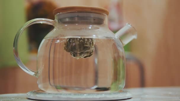 Ein Wunderbarer Prozess Des Blütenaufbrauens Von Tee Einer Glasteekanne — Stockvideo