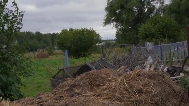 Un groupe d'oies blanches se tient debout sur le foin et l'herbe verte. Ils regardent autour de eux et secouent des contes .