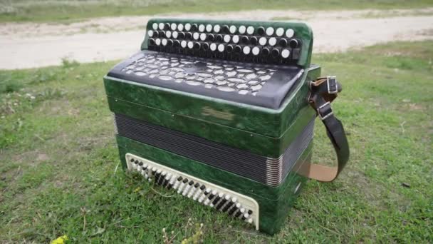 Green Accordion Bayan Laying Green Lawn Close — Stock Video