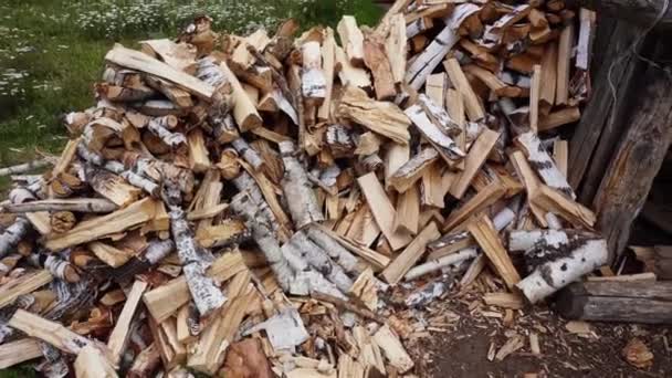 Pile Copped Firewood Laying Green Grass — Stock Video