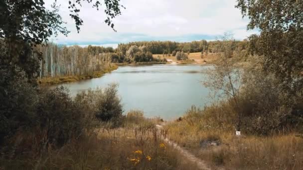 Podemos Ver Pequeño Lago Rodeado Plantas Silvestres Pequeños Bosques Hay — Vídeos de Stock