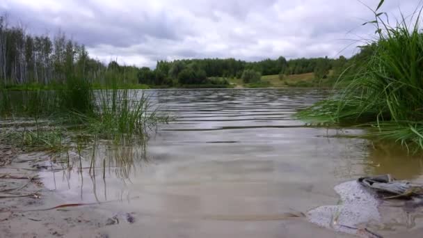 小さな草原の湖の波 緑の川の草 — ストック動画
