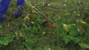 Çim biçme makinesi coutry avlusundaki yeşil çimleri kesiyor..