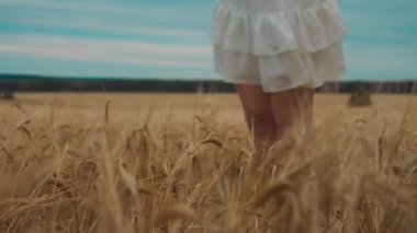 Beyaz elbiseli güzel bir kız, buğday tarlasında dans ediyor. Sadece bacaklarını görebiliyoruz..