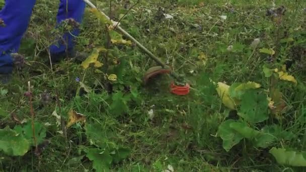 Une tondeuse à gazon coupe l'herbe verte dans la cour du pays .