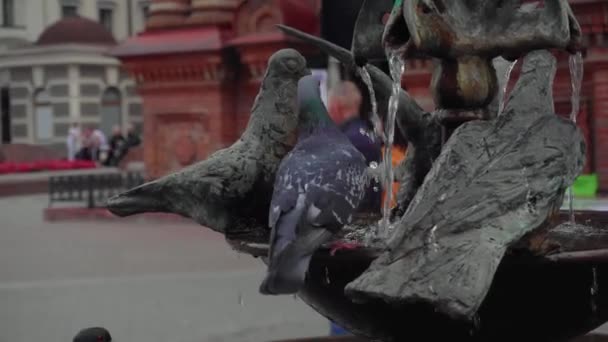 Güvercinler Bir Çeşme Heykelinin Metal Güvercinler Üzerine Tünemiş — Stok video