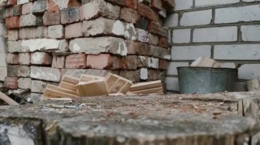 Baltalı eller arka bahçede huş ağacı nı kesiyor..