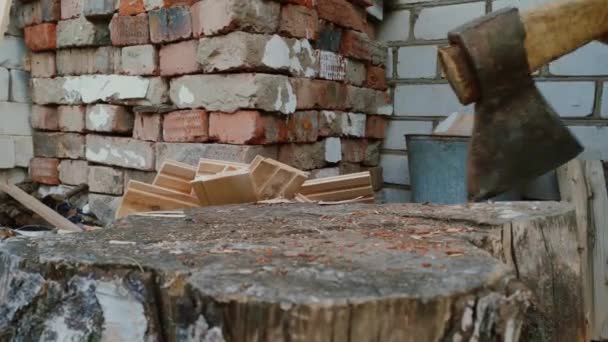 Hands Axe Chopping Birch Log Backyard — Stock Video