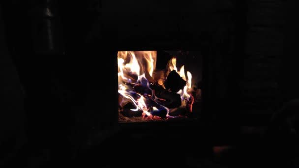 手がストーブを開け 火に木製の丸太を追加しています それは暗いロシアの浴場です — ストック動画