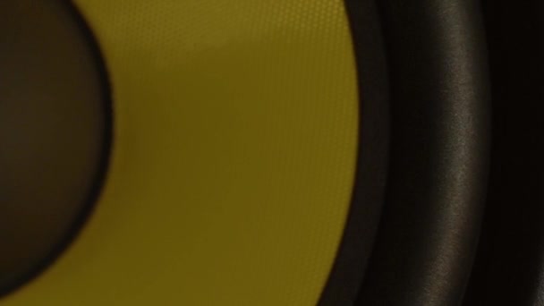 Professional Amp Studio Monitor Black Yellow Colouring Some Recording Studios — Stock Video