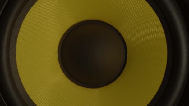 Professional Amp Studio Monitor Black Yellow Colouring Some Recording Studios — Stock Video