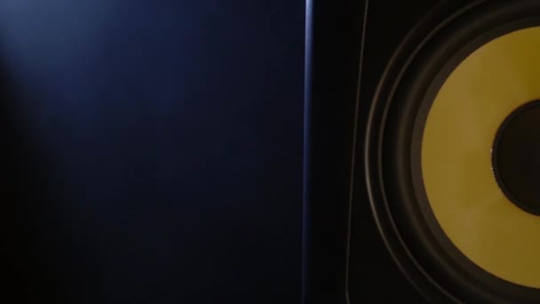 Algunos Estudios Grabación Hay Monitor Profesional Dos Amplificadores Color Negro — Vídeo de stock